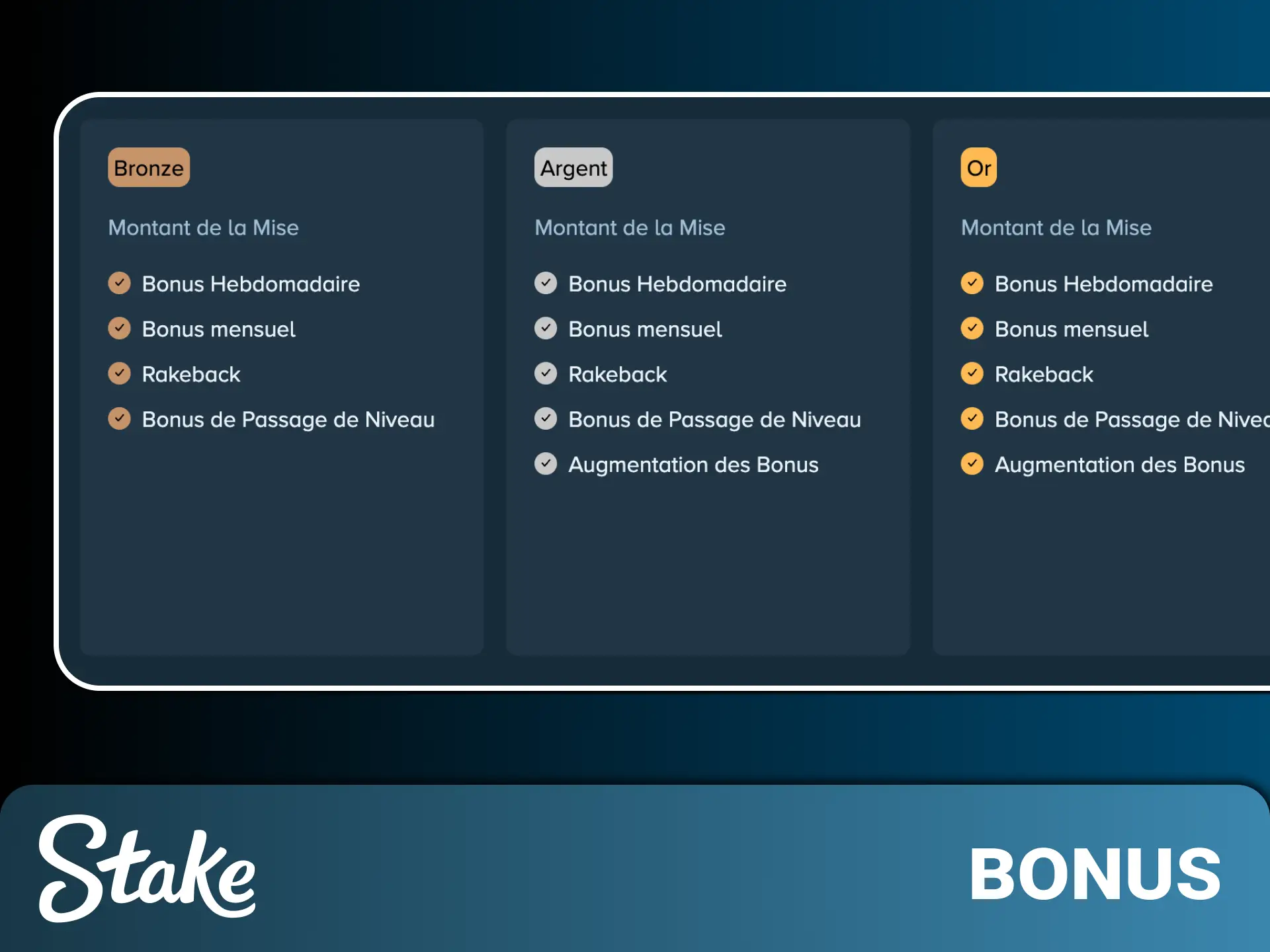 Découvrez l'ensemble des bonus de l'application Stake disponibles pour vous en France.